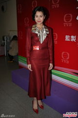 组图：《巾帼3》试造型 黎耀祥胡杏儿民国装