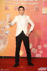 群星亮相金曲奖红毯 蔡依林美腿梁静茹性感(图)