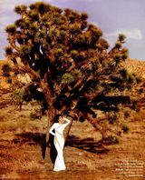 组图：46岁辛迪-克劳馥登封面美丽依旧