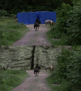 《陆小凤与花满楼》林峰领衔新武侠梦