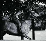 组图：摩纳哥王室二公主冷艳造型登《Vogue》