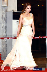 组图：少女时代等众星亮相2012梦想演唱会红毯