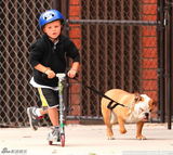组图：贝克汉姆爱子比赛滑板 克鲁兹不忘遛爱犬