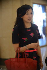 组图：朱洁仪将赴台办画展担心运画成本