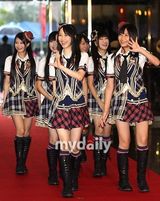 组图：张赫等出席2010首尔电视剧颁奖礼红毯