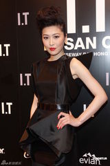 组图：刘嘉玲放言绝未涉毒 张柏芝回避媒体拒采访