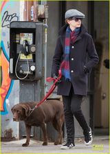 组图：安妮-海瑟薇独自出街遛狗 中性装扮低调