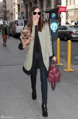 高清组图：超模米兰达-可儿纽约街拍怀抱宠物狗