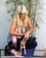 组图：帕丽斯-希尔顿怀揣两爱犬心花怒放玩得欢 