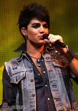 高清组图：美偶选手洛杉矶开唱 兰伯特与艾伦琴瑟和鸣