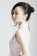 高清组图：姚笛新旗袍写真 素雅淡然造型古典