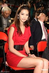 幻灯图：林嘉绮红色裙装性感 林育群为花博点灯