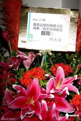 组图：江蕙小巨蛋开唱 周杰伦等艺人花篮齐贺