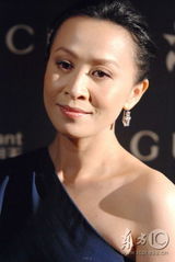 幻灯图集：李冰冰出席晚宴 深V礼服与刘嘉玲斗艳