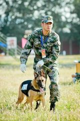 组图：《神犬奇兵》曝剧照 杨烁化身神犬训练师