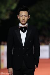 高清组图：金马奖红毯精选 男星西装革履潇洒比帅