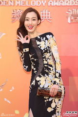 群星亮相金曲奖红毯 蔡依林美腿梁静茹性感(图)