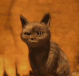 秒娱连珠vol5：人生如床戏！想上看演技