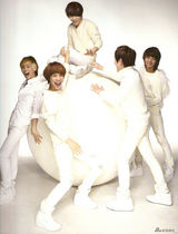 高清图集：新生代偶像组合SHINee新年月历青春洋溢