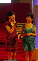 高清组图：赵雅芝典雅装扮 年过半百风韵不减