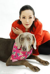 组图：车永莉拍另类写真 携魏玛犬登杂志