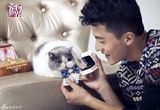 组图：孙艺洲牵手猫咪情人 演绎喵星版宠物情缘