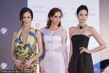 组图：亚洲电影奖红毯 章子怡刘嘉玲艳压嫩模