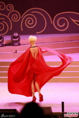 香港办文艺晚会庆国庆 霍震霆称不办百日宴(图)