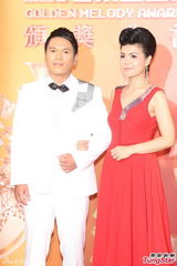 群星亮相金曲奖红毯 蔡依林美腿梁静茹性感(图)