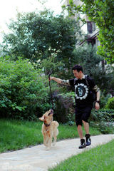 组图：王凯户外迷彩写真 阳光型男爱心魅力