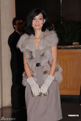 组图：杨千嬅丁子高大摆婚宴 众星盛装齐来祝贺