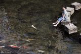 高清组图：李小冉日本长崎拍写真 泉边与鱼嬉戏