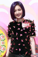 组图：杨千嬅亮相贺岁活动 桃花服饰优雅喜庆