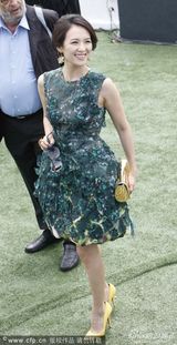 组图：章子怡透视美裙酥胸隐现金饰闪耀