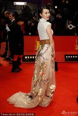 组图：柏林红毯黄璐工笔画长裙霸气 透视秀美腿