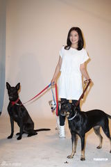 组图：阿雅担任防虐待动物大使 曾和友人结伴看望小S