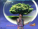 幻灯：王菲彩裙粉袜缓缓登台 天籁之音唱响《传奇》