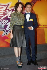 组图：张敬轩王菀之邓紫棋等出席记者会