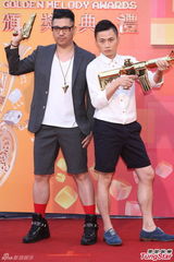 群星亮相金曲奖红毯 蔡依林美腿梁静茹性感(图)