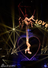 组图：P!nk高空倒吊演唱 与舞伴激情肉搏