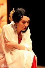 组图：《我爱桃花》再进大剧院 新血液演三维版