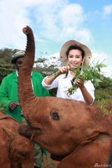 组图：李冰冰出演《变四》引热议 非洲认养幼象