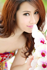 组图：江雪美艳大片演绎蝶恋花