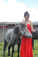 组图：潘辰赴西藏写真曝光 身着红裙与马儿亲昵