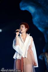 王菲广州个唱薄纱秀玉腿 连换数套礼服魅力百变(图)