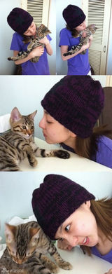 策划：韩星宠物集结号 爱豆们的宠物情人