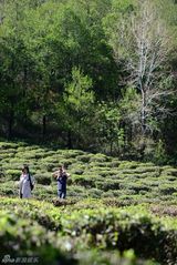 组图：赵子琪路金波拍温馨亲子照 女儿萌态出镜