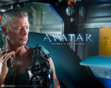 高清组图：《阿凡达》精美壁纸下载
