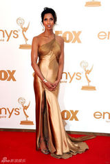 组图：艾美奖红毯 帕德玛-拉克施密古铜色长裙