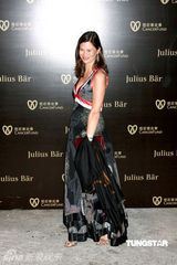 幻灯图：熊黛林李玟乐基儿何超仪等齐聚慈善晚宴